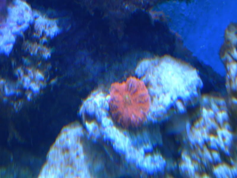 DSCN1472.jpg