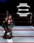 ss.gif
