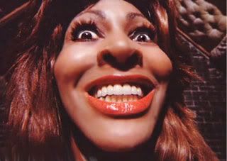 tina turner's sax player