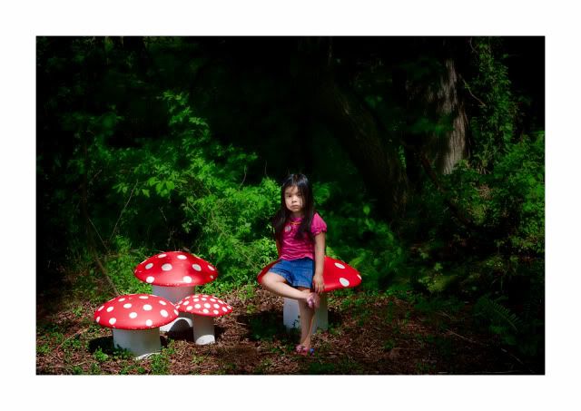 IMAGE: http://i75.photobucket.com/albums/i309/kajawhit/Cat-mushroomsweb.jpg