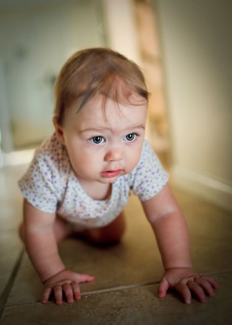 IMAGE: http://i75.photobucket.com/albums/i309/kajawhit/baby-cakes.jpg