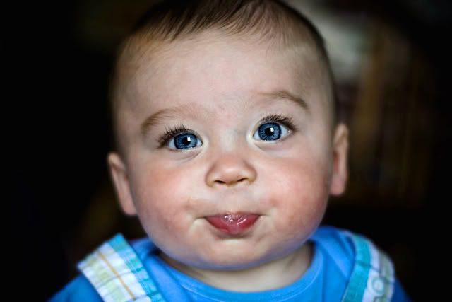 IMAGE: http://i75.photobucket.com/albums/i309/kajawhit/babyblue3.jpg