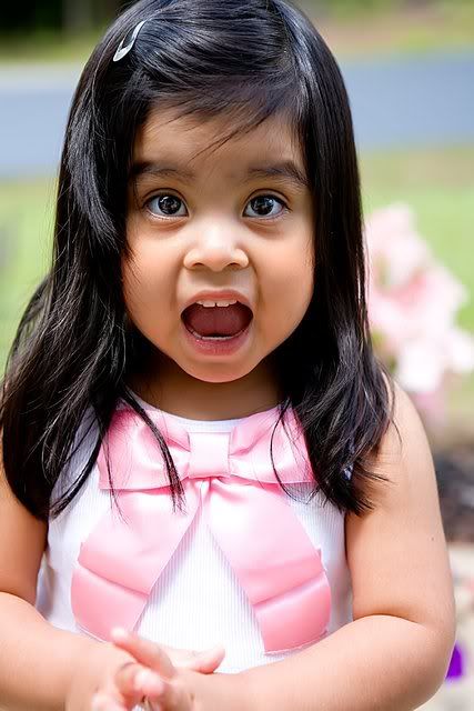 IMAGE: http://i75.photobucket.com/albums/i309/kajawhit/cat3web.jpg