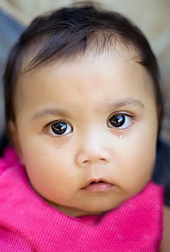 IMAGE: http://i75.photobucket.com/albums/i309/kajawhit/cryweb2.jpg