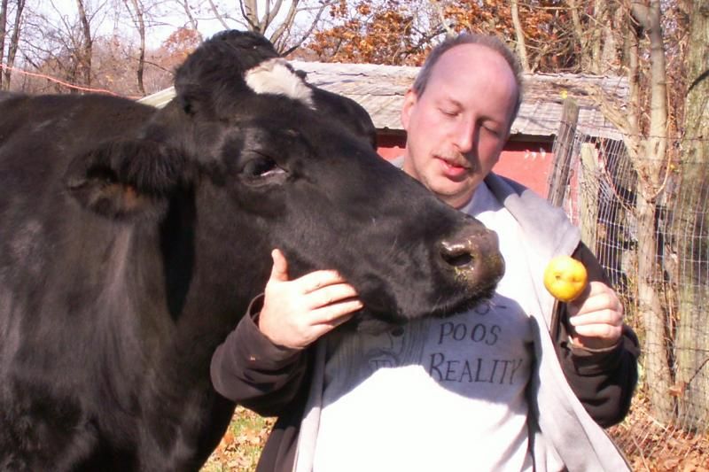 Some new pics of Marianne - Cattle