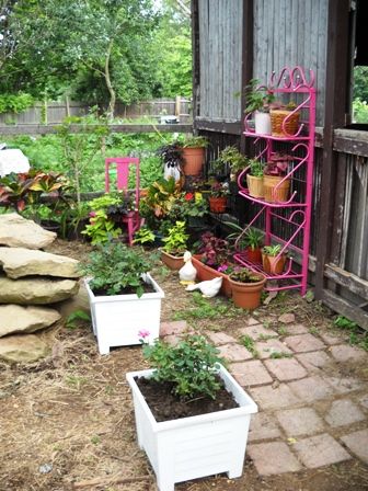 Container gardens - Gardening & Plant Propagation