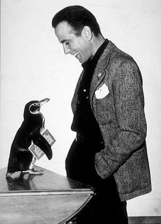  photo Humphrey-Bogart-and-a-Penguin.jpg