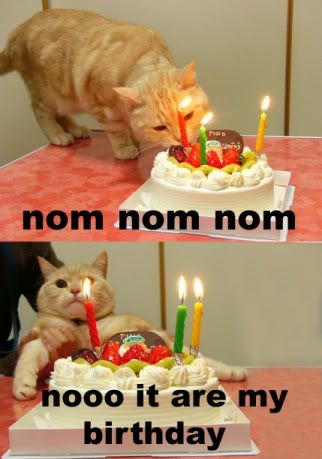 happy birthday cat picture. HAPPY EFFING BIRTHDAY BERNARD