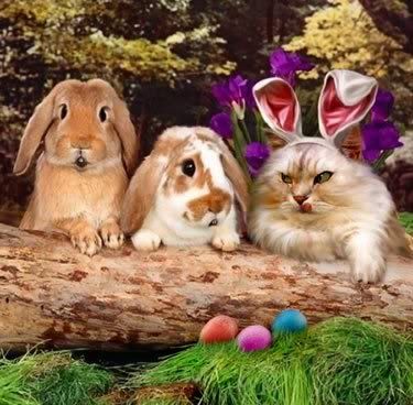 [img width=375 height=368]http://i75.photobucket.com/albums/i312/acxiboy/easter.jpg[/img]