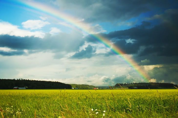 Real Rainbows Real Rainbows