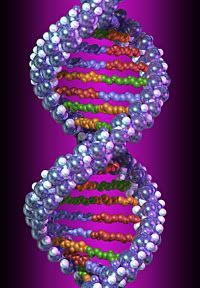 dna