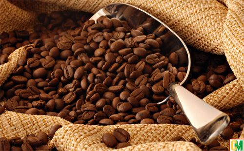Cà phê để trong tủ lạnh