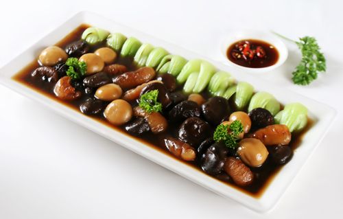 ăn dưỡng nhan sắc từ hải sâm