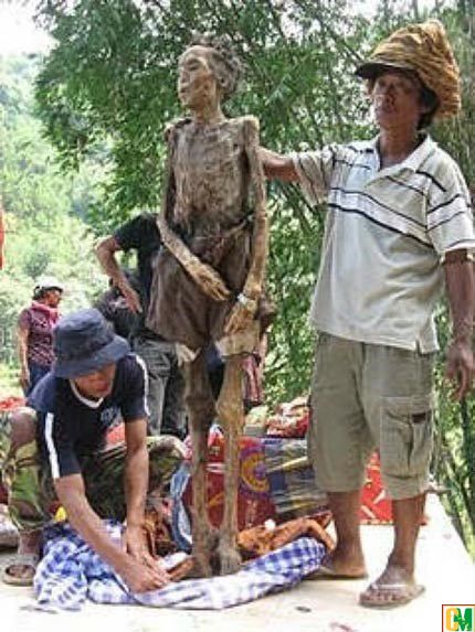 Xác chết biết đi