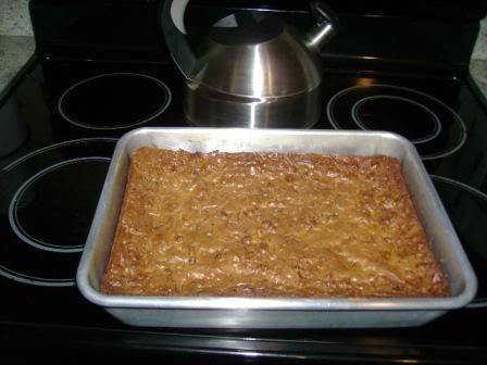 Graham Cracker Brownies - Help! I Have A Fire In My Kitchen