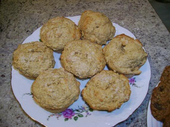 Help! I Have A Fire In My Kitchen - Oatmeal Muffins