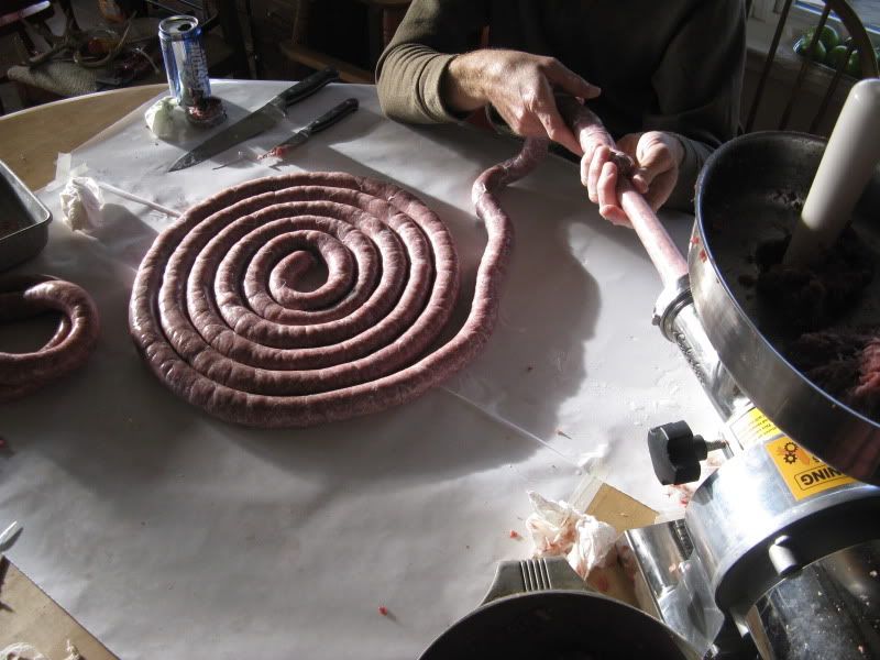 ANTLER RESTRICTIONS Texas Hunting Forum