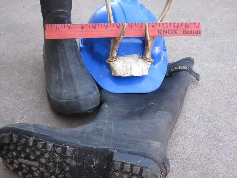 ANTLER RESTRICTIONS Texas Hunting Forum