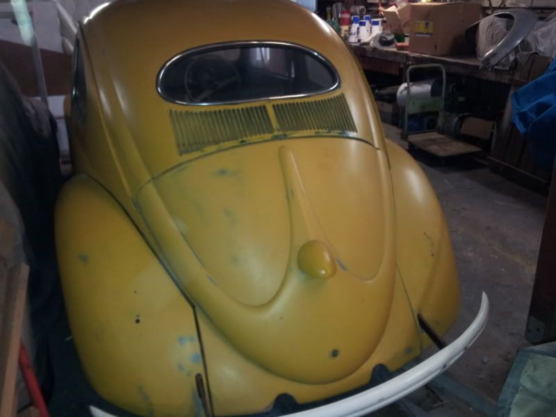 http://i75.photobucket.com/albums/i317/Volkaddiction/Oval%20Beetle/010.jpg