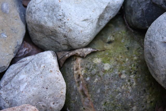 IMAGE: http://i75.photobucket.com/albums/i317/bdj3/128.jpg