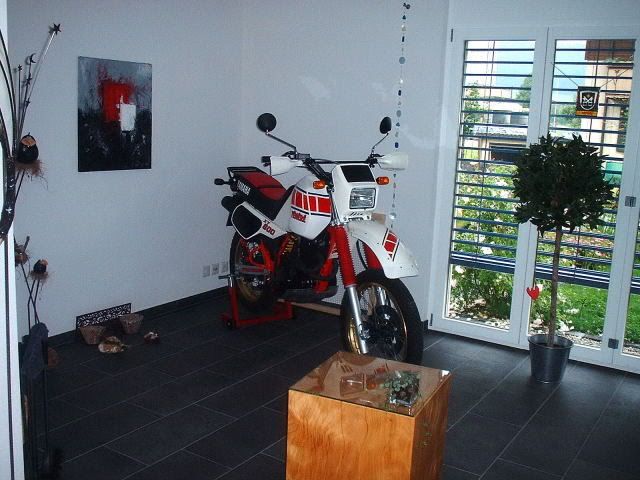 Bild