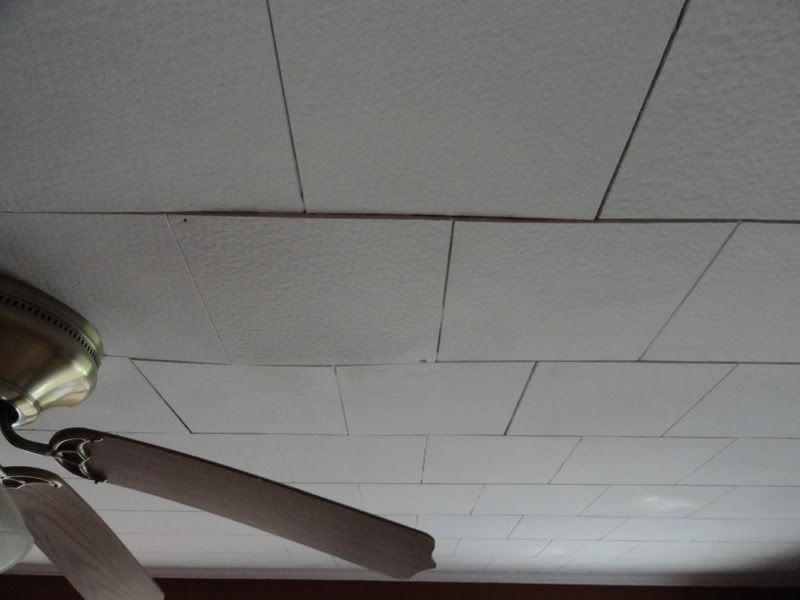 Garage Door Window Inserts How To Fix Sagging Ceiling Tiles