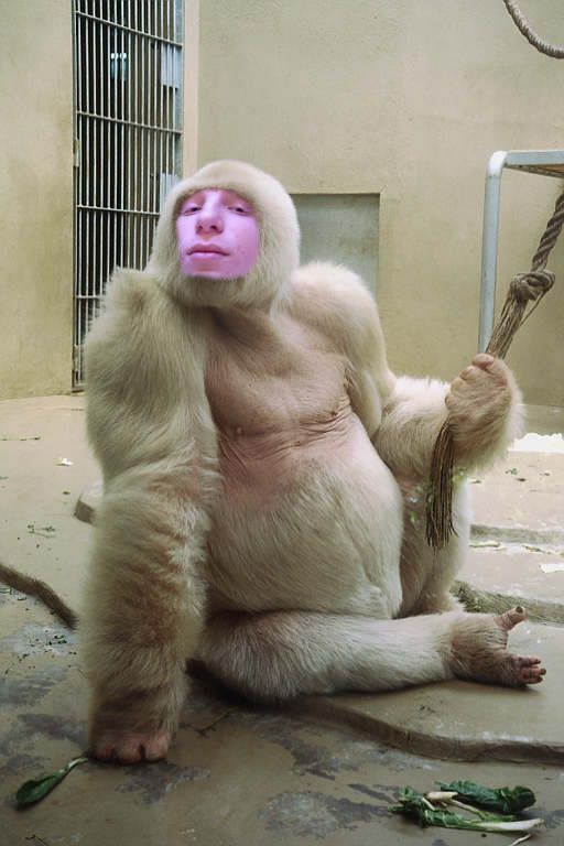 albino.jpg