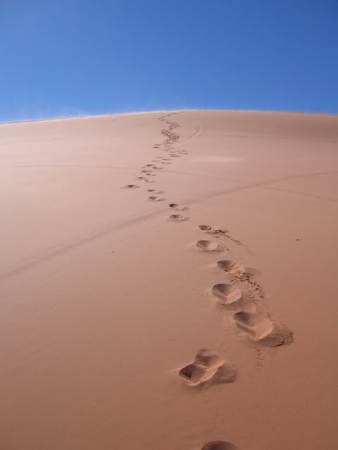 Desert3.jpg