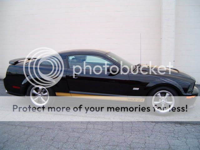 2006 Ford mustang hertz sale #4