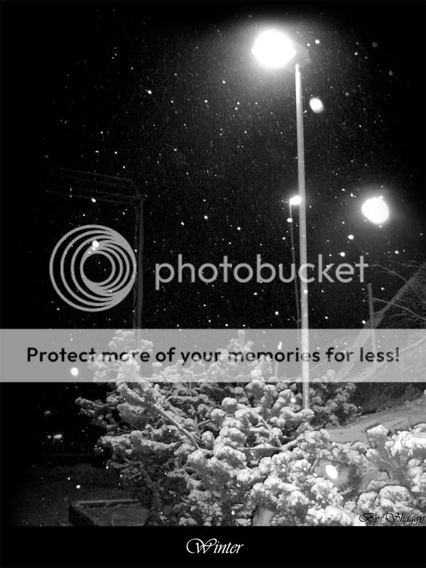https://i75.photobucket.com/albums/i295/adi_09/Axd/AdY3/Snowing.jpg