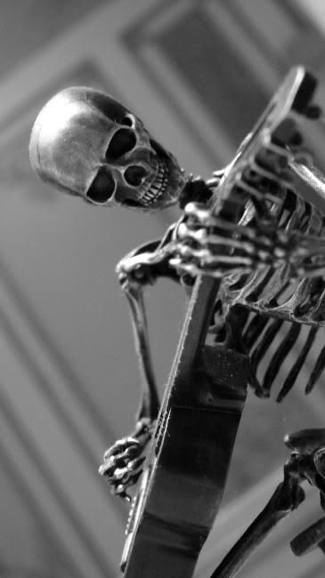 https://i75.photobucket.com/albums/i295/adi_09/SkullAndGuitar.jpg