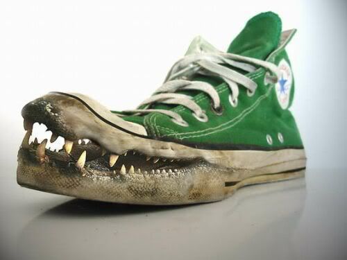 https://i75.photobucket.com/albums/i313/Salotine_Bite/converse1-1.jpg