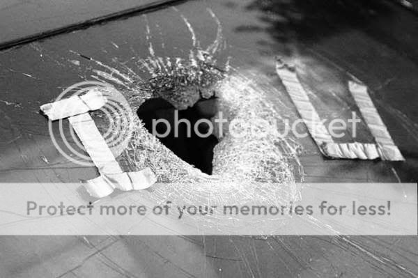 https://i75.photobucket.com/albums/i313/Salotine_Bite/picccszf281.jpg