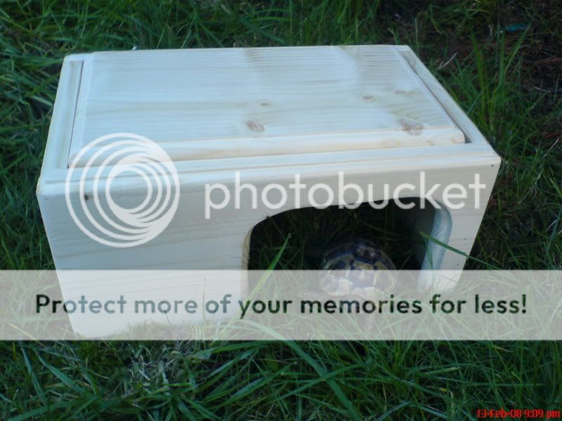 Tortoise hides, indoor or outdoor - Reptile Forums