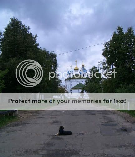 Photobucket - Videoand Image Hosting